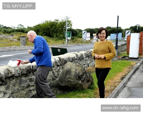 丹麦与北爱尔兰激战正酣比分揭晓引发球迷热议