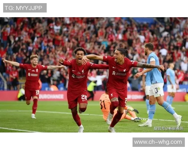 努涅斯在新赛季的崛起之路与球队未来发展的关键影响分析