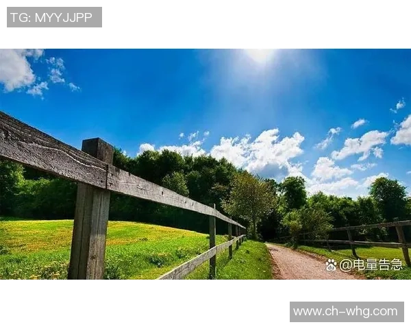 塔什干棉农与多哈萨的对决：一场关于农业与经济的较量