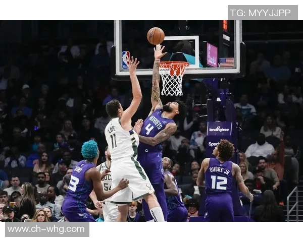 布鲁克洛佩斯的篮球传奇之路与职业生涯的辉煌成就分析