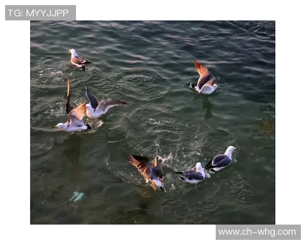 阿塞拜疆与法罗群岛的足球对决精彩回顾与分析