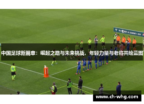 中国足球新篇章：崛起之路与未来挑战，年轻力量与老将共绘蓝图