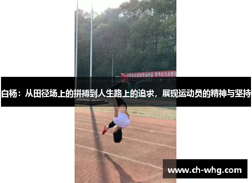 白杨：从田径场上的拼搏到人生路上的追求，展现运动员的精神与坚持