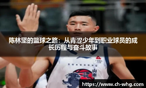 豪门国际手机最新版本