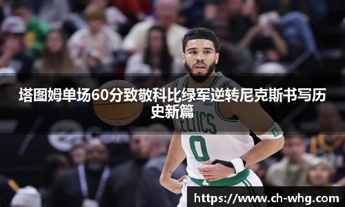 豪门国际app下载